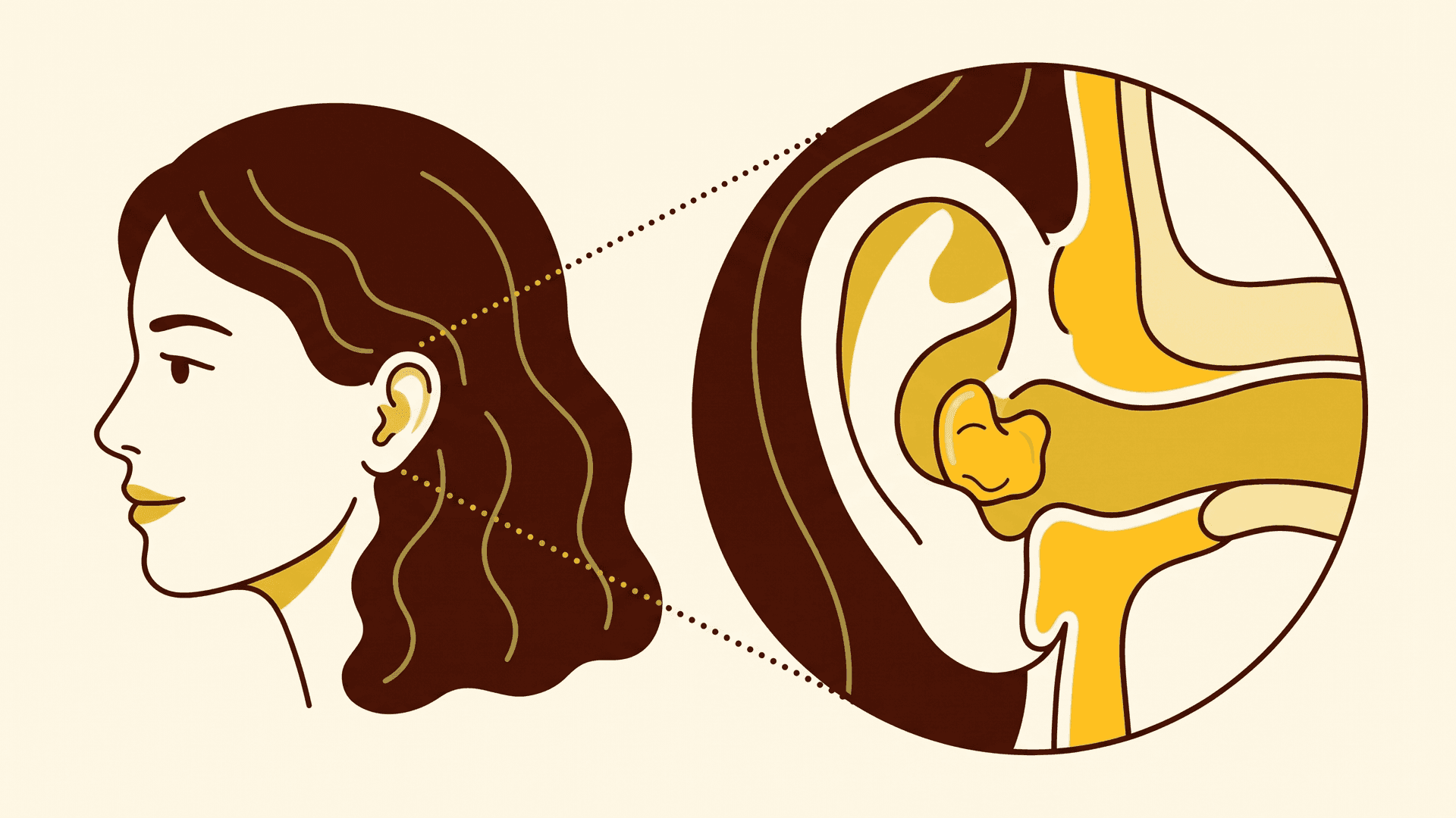 Illustration of a woman whose ear looks completely ordinary, beside a magnified view of the ear canal with a tiny custom hearing aid seated inside it.