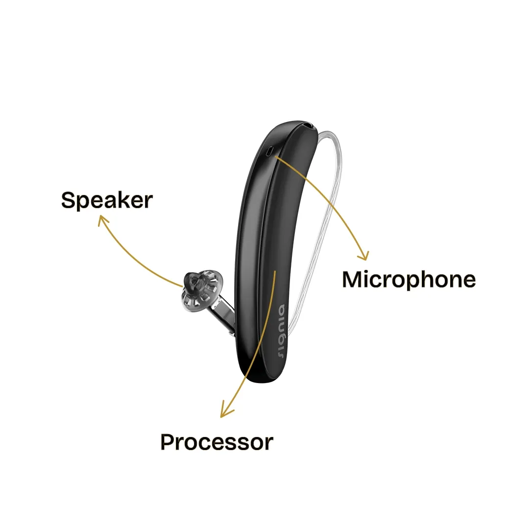 Receiver in the canal hearing aid with details of where the microphone, processor and speaker lies