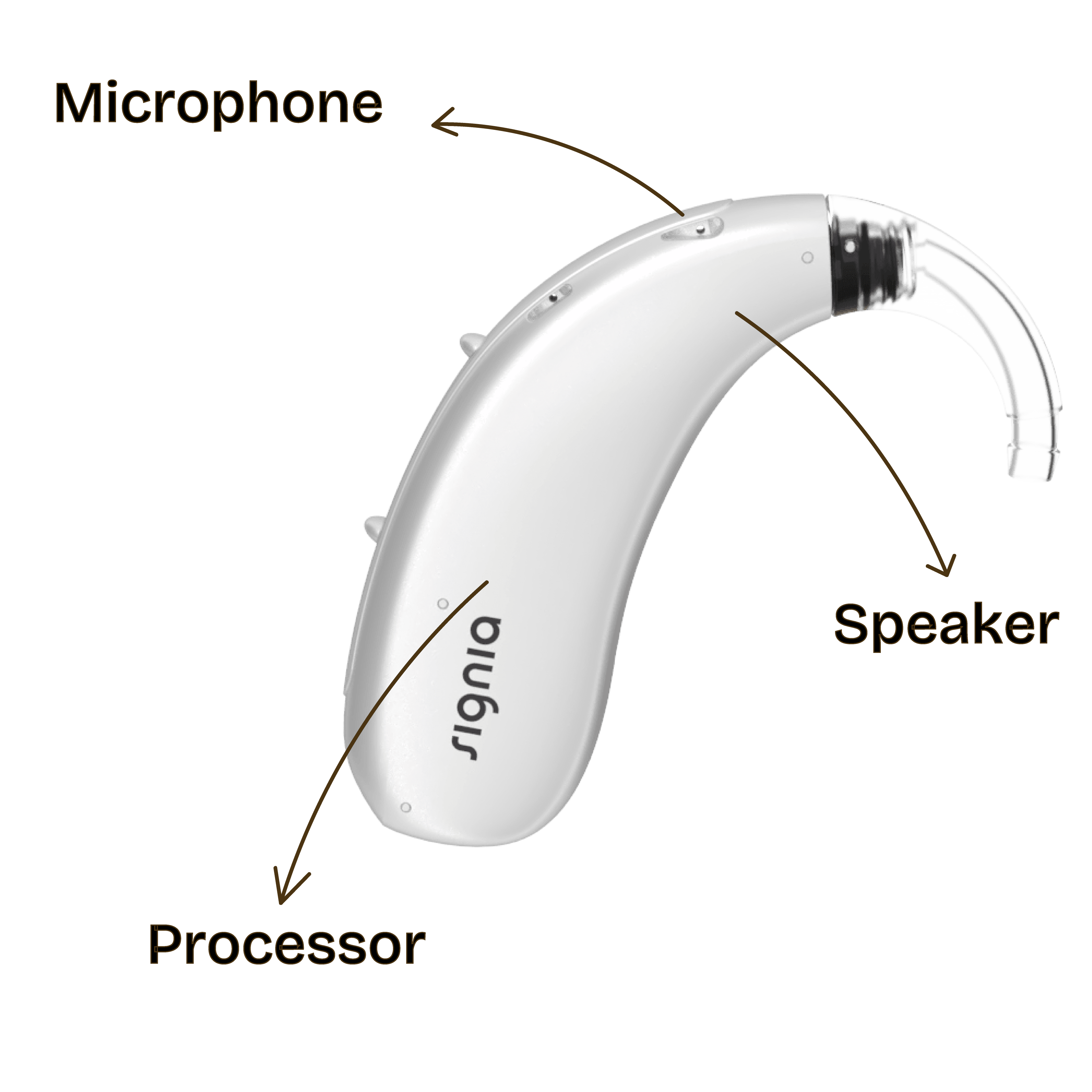 Behind the ear hearing aid with details of where the microphone, processor and speaker lies